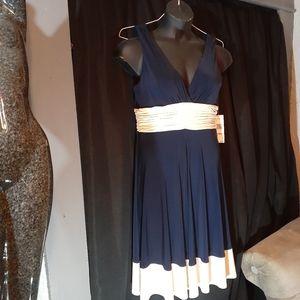 Blue and Cream Dress